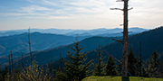 Mountain Magic